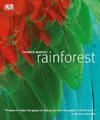 Rainforest